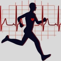 34d3e21d60fec62d2a6c357ff2a8ad83 34d3e21d60fec62d2a6c357ff2a8ad83