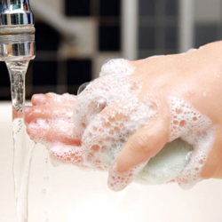 a88b7639945a08d13a490a4bc17cf534 a88b7639945a08d13a490a4bc17cf534